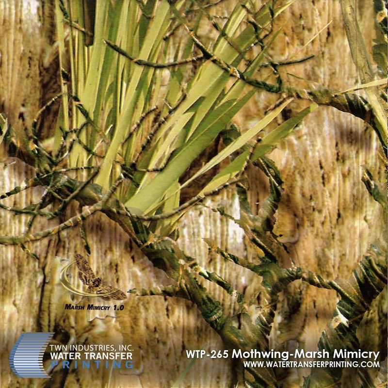 Mothwing — Marsh Mimicry