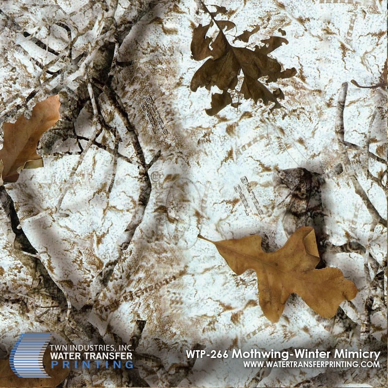Mothwing — Winter Mimicry